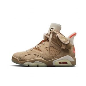 Air Jordan 6