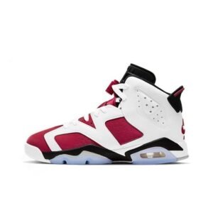 Air Jordan 6