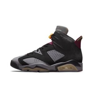Air Jordan 6