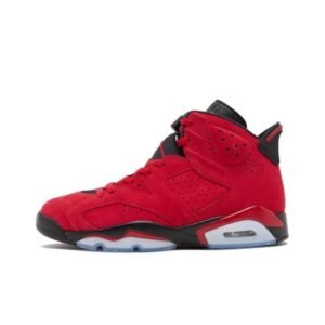 Air Jordan 6