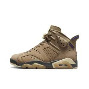 Air Jordan 6