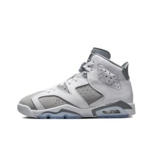 Air Jordan 6