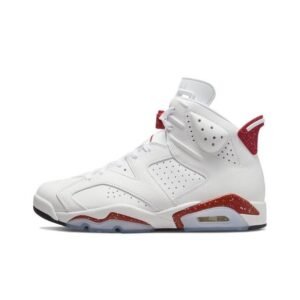 Air Jordan 6