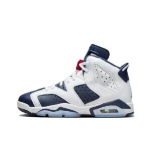 Air Jordan 6
