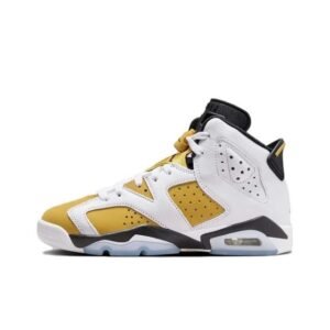 Air Jordan 6