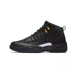 Air Jordan 12