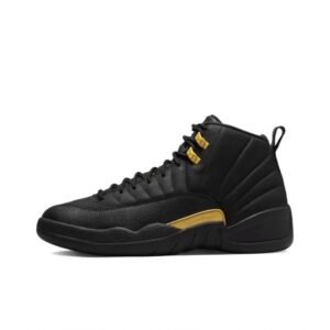 Air Jordan 12