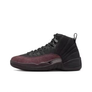 Air Jordan 12