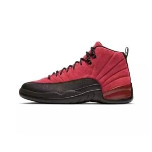 Air Jordan 12