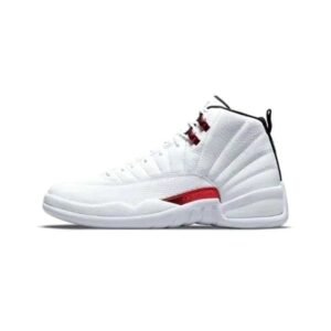 Air Jordan 12