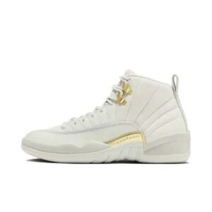 Air Jordan 12