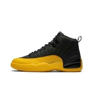 Air Jordan 12