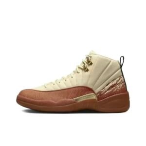 Air Jordan 12