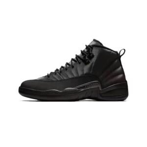 Air Jordan 12